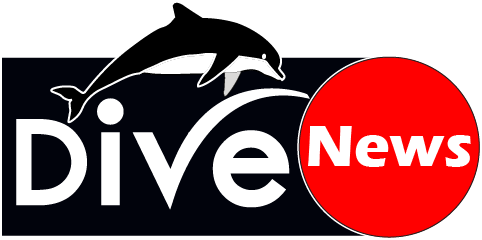 Dive in News